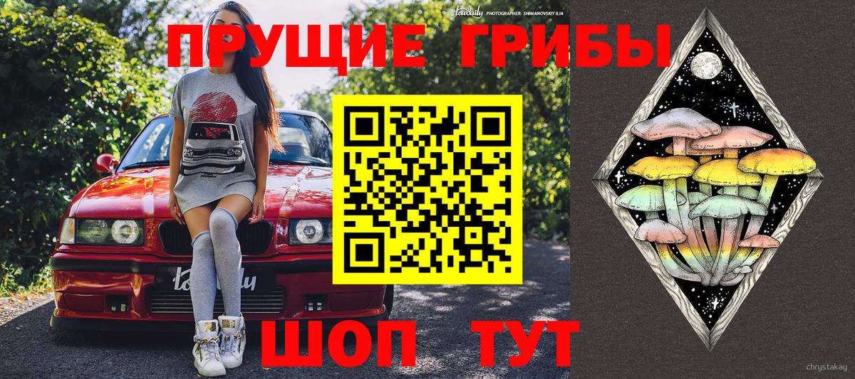 Псилоцибиновые грибы прущие грибы Петропавловск-Камчатский
